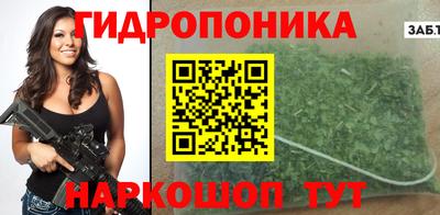 ешки Ставрополь