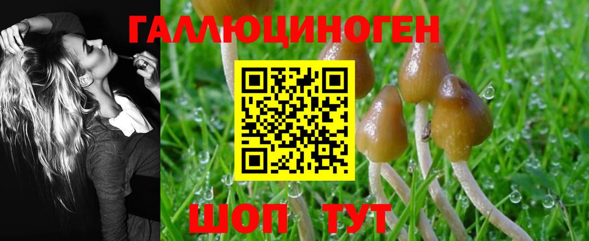 Галлюциногенные грибы GOLDEN TEACHER  Вход с VPN  Галлюциногенные грибы Magic Shrooms  Бор 